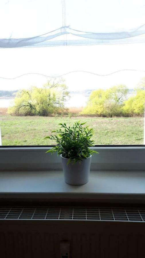 בראנדנבורג Ferienwohnung Mit Seeblick מראה חיצוני תמונה